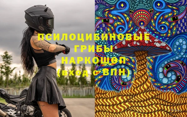 мдпв Армянск