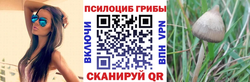 ссылка на мегу   Чехов  Псилоцибиновые грибы мухоморы 